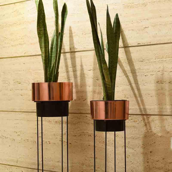 Buy Keep it Copper Planter- Set Of Two at Vaaree online | Beautiful Pots & Planters to choose from