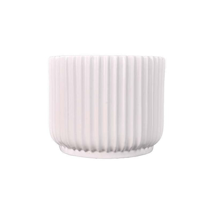 Buy Ugaoo Phoenix White Ceramic Pot at Vaaree online | Beautiful Pots & Planters to choose from