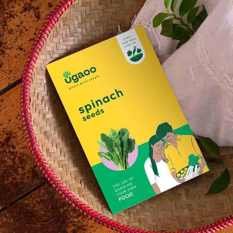 Buy Ugaoo Spinach Seeds (Palak) Seeds from Vaaree