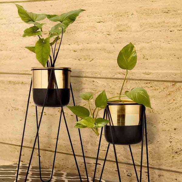 Buy Colorblocked Tripod Planter- Set Of Two at Vaaree online | Beautiful Pots & Planters to choose from