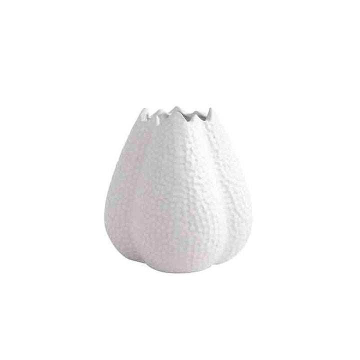Buy Momos Flower Vase at Vaaree online | Beautiful Vase to choose from