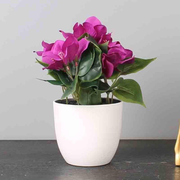Artificial Flowers - Bogo Faux Pink Bougainvillea - White Pot