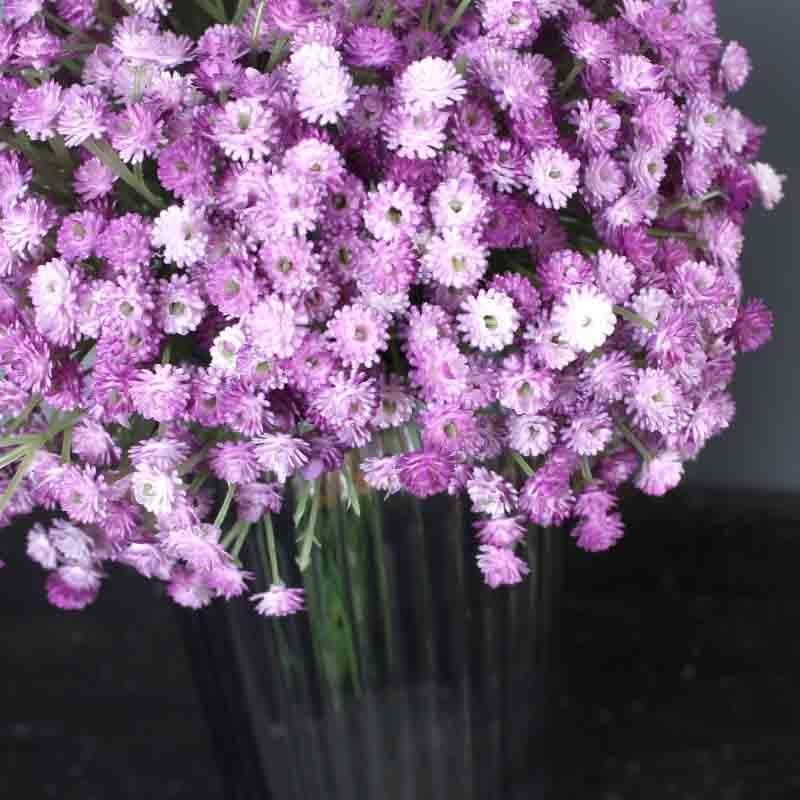 Artificial Flowers - Faux Aster Florals - Purple