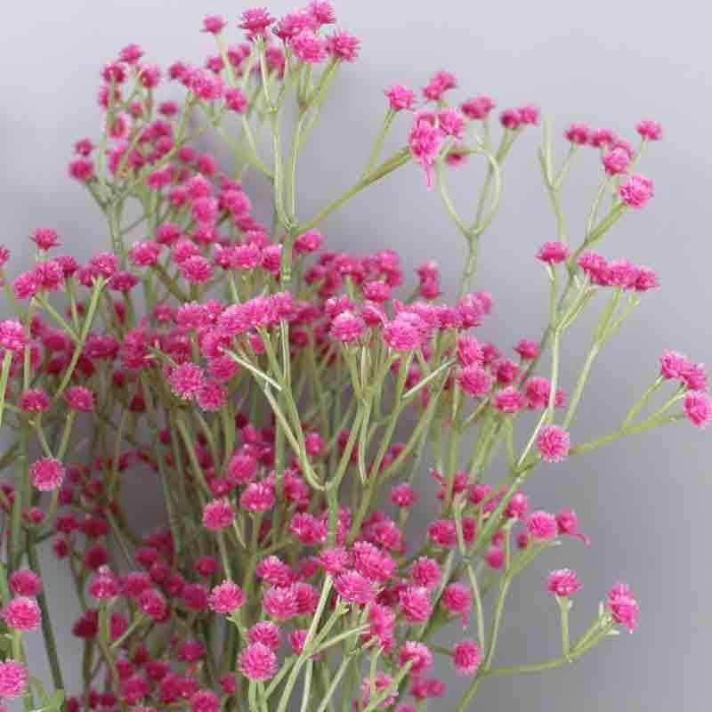 Artificial Flowers - Faux Baby's Breath Floral Sticks (Fuschia Pink) - Set Of Six
