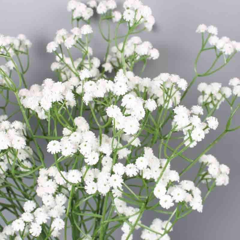 Artificial Flowers - Faux Baby's Breath Floral Sticks (White) - Set Of Six