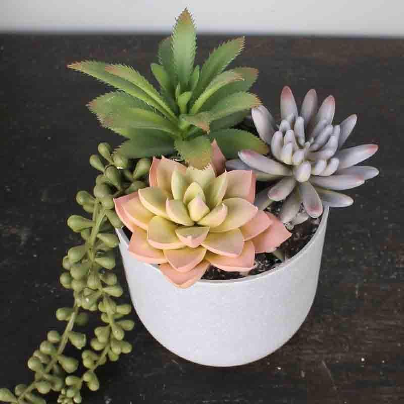 Artificial Plants - Celine Pot With Faux Succulents - 20 cms
