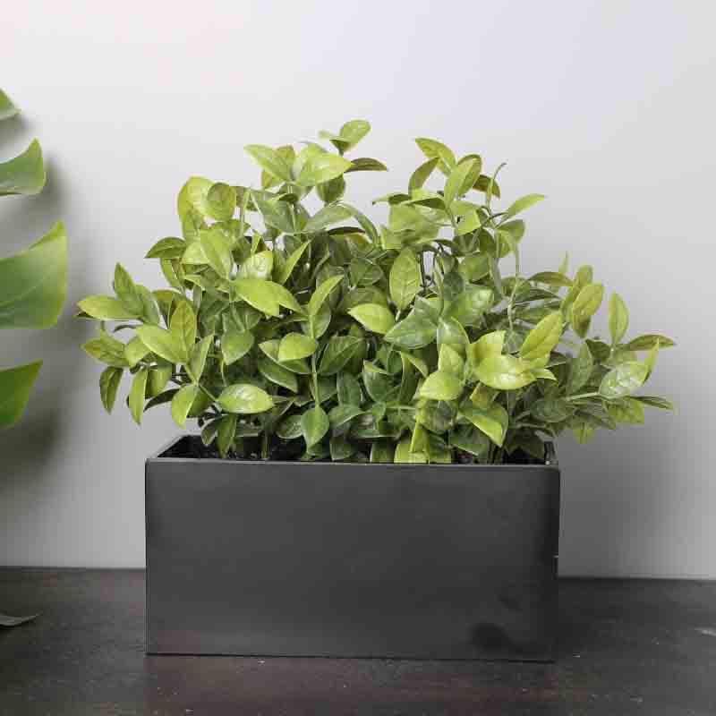 Artificial Plants - Faux Bonsai Shrub In Tray (18 cms) - Black