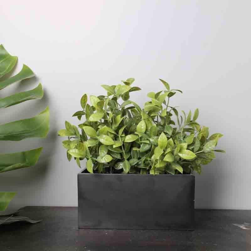 Artificial Plants - Faux Bonsai Shrub In Tray (18 cms) - Black