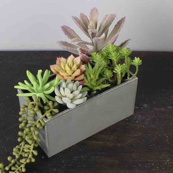 Artificial Plants - Faux Succulent Plants In Tray (18 cms) - Grey