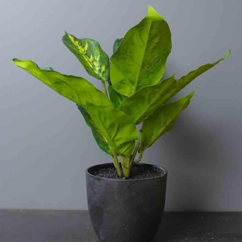 Artificial Plants - Greta Pot With Faux Dieffenbachia (25 cms) - Black