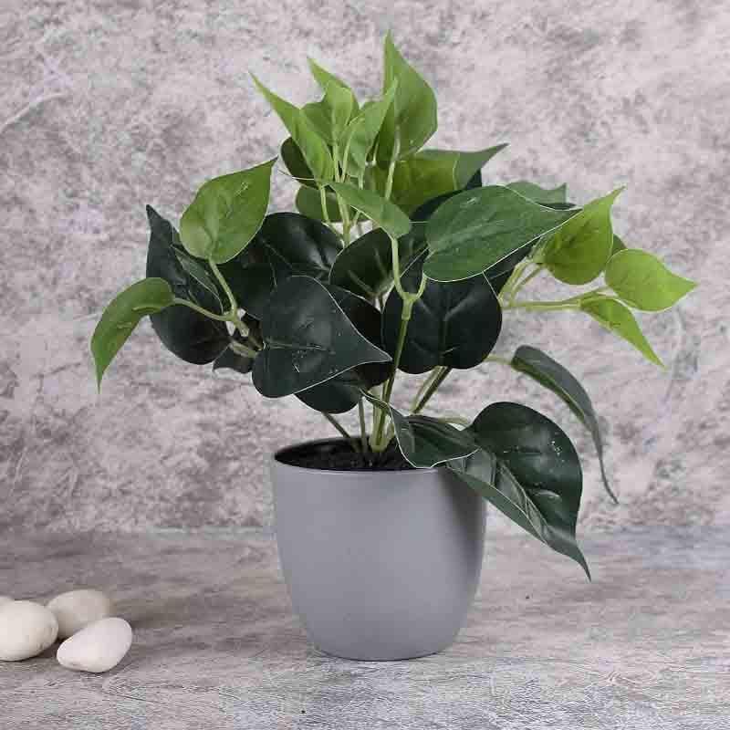 Artificial Plants - Lumia Pot With Faux Philodendron Bush (25 cms) - Grey