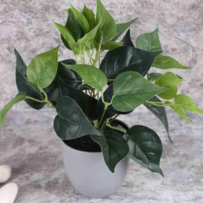 Artificial Plants - Lumia Pot With Faux Philodendron Bush (25 cms) - Grey