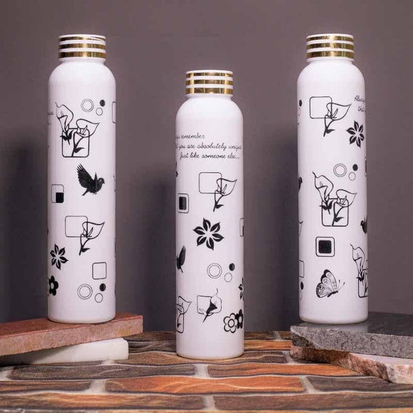 Bottle - Doodle Chat Water Bottle - Set Of Three