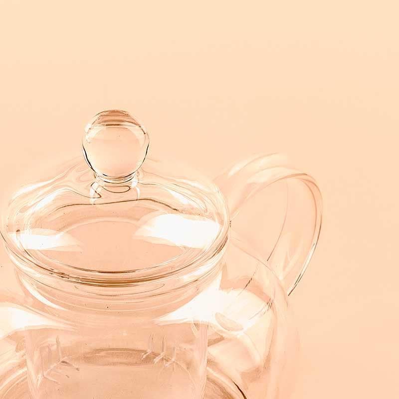 Buy Little Glass Teapot at Vaaree online | Beautiful Tea Pot to choose from