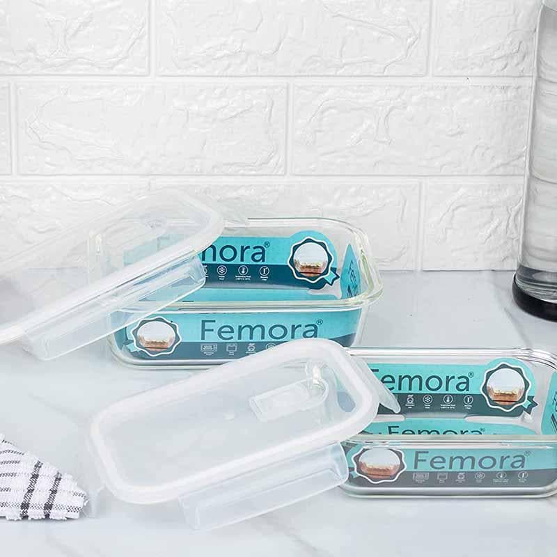 Container - Rectangle Foodie Lunch Box (620/1000 ML) - Set of Two