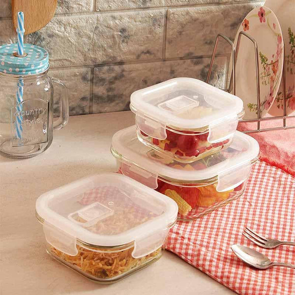 Container - Square Foodie Lunch Box (300/500/800 ML) - Set of Three