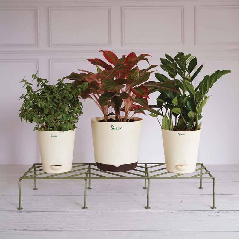 Buy Garden Accessories - UGAOO Rectangular Flower Pot Stand (Green)- Set Of Four at Vaaree online