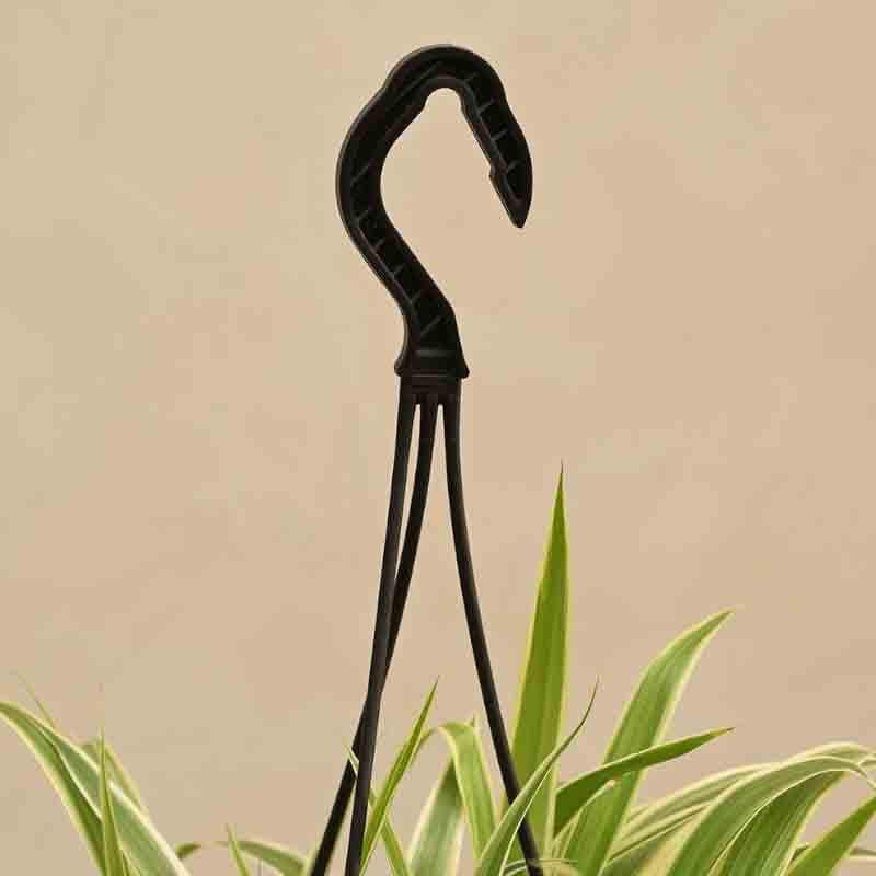 Buy Ugaoo Spider Plant With Hanging Pot Live Plants from Vaaree