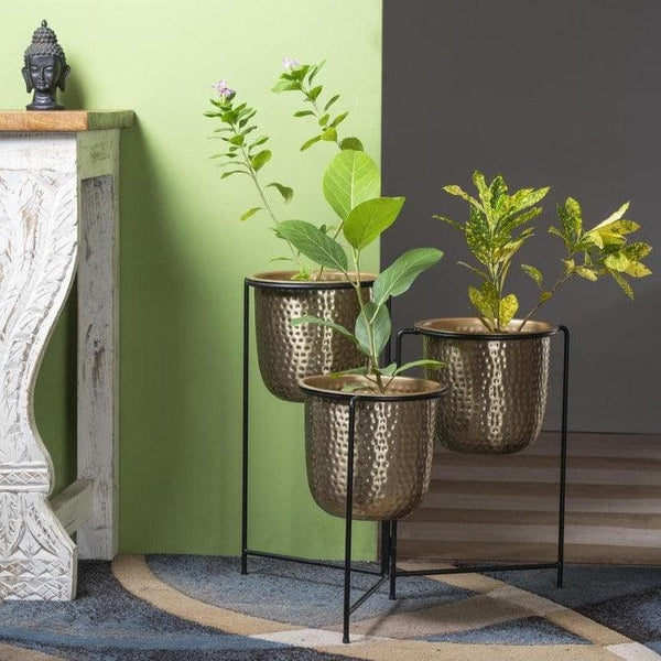 Buy Brazen Gold Nested Planters Pots & Planters from Vaaree