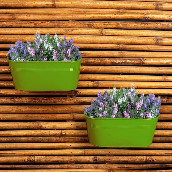 Buy Envious Green Planter Pots & Planters from Vaaree