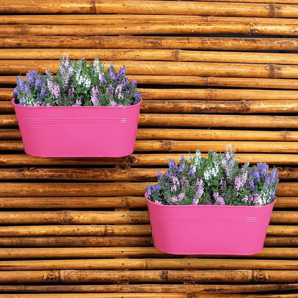 Buy Envious Pink Planter Pots & Planters from Vaaree