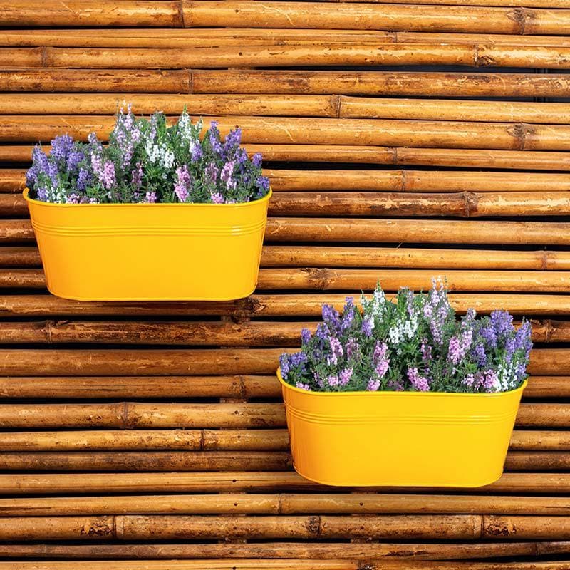 Buy Envious Yellow Planter Pots & Planters from Vaaree