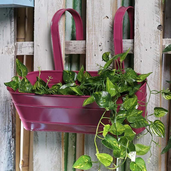 Buy Glossy Oval Planter - Pink Pots & Planters from Vaaree