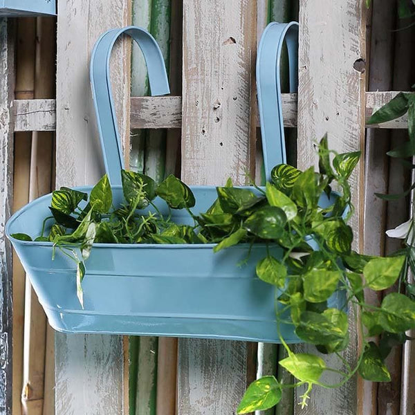 Buy Glossy Oval Planter - Sky Blue Pots & Planters from Vaaree