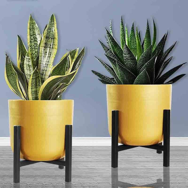 Pots & Planters - Goldie Planter With Stand - Set Of Two
