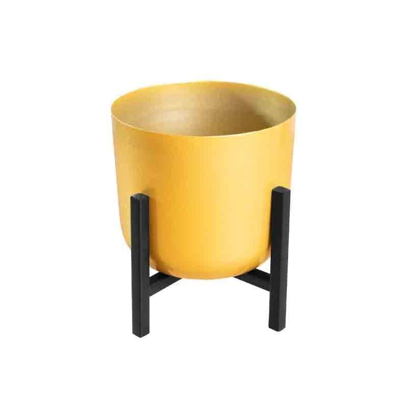 Buy Goldie Planter With Stand - Set Of Two Pots & Planters from Vaaree