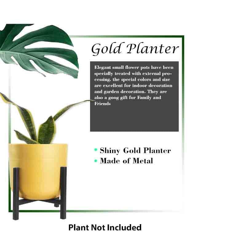 Buy Goldie Planter With Stand - Set Of Two Pots & Planters from Vaaree