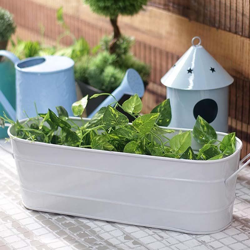 Buy Grow Greens Planter- White Pots & Planters from Vaaree