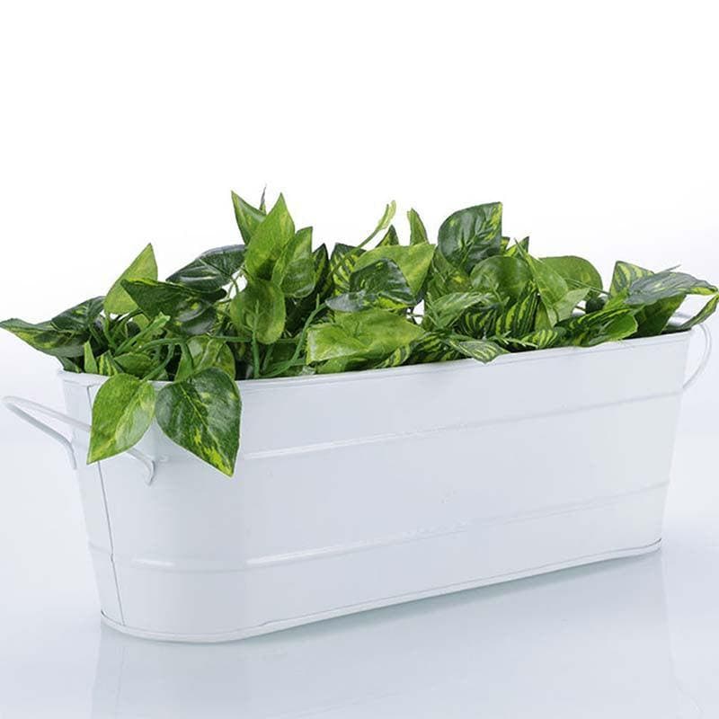 Buy Grow Greens Planter- White Pots & Planters from Vaaree