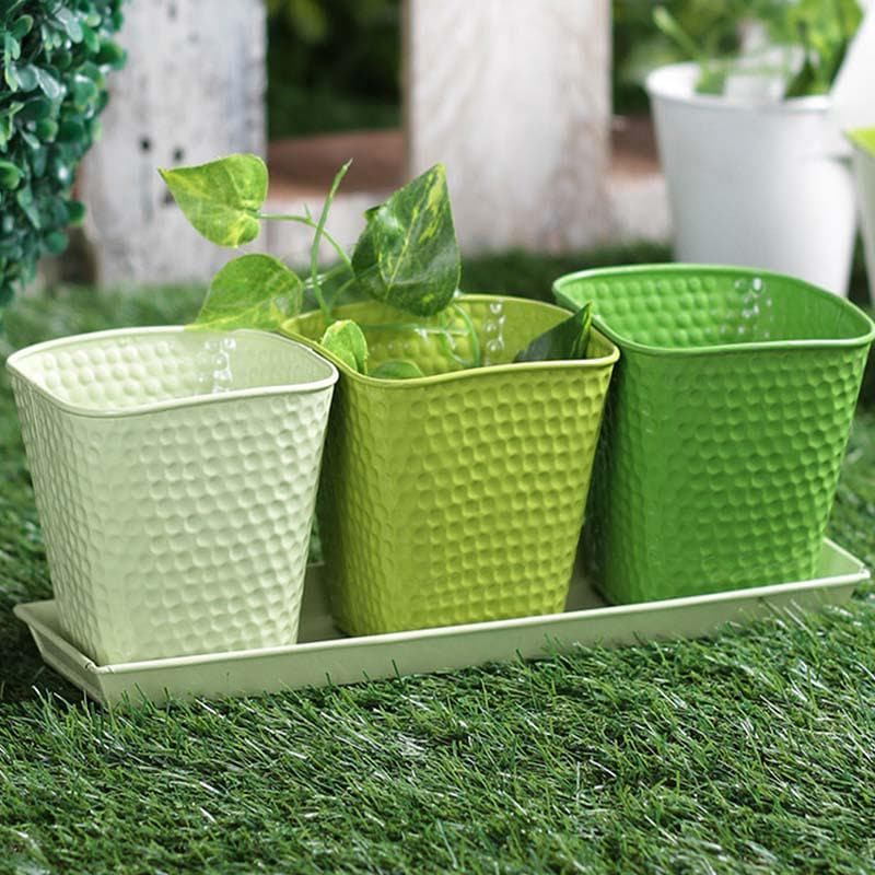 Buy Herb It Here Plantar - Green Pots & Planters from Vaaree