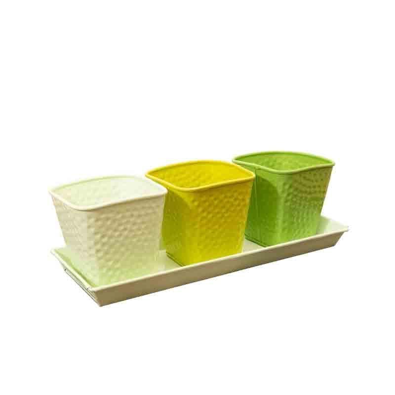 Buy Herbster Planter - Set Of Three Pots & Planters from Vaaree