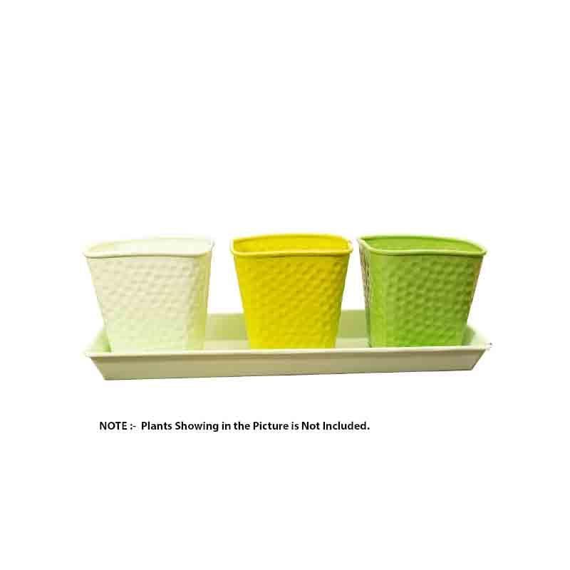 Buy Herbster Planter - Set Of Three Pots & Planters from Vaaree