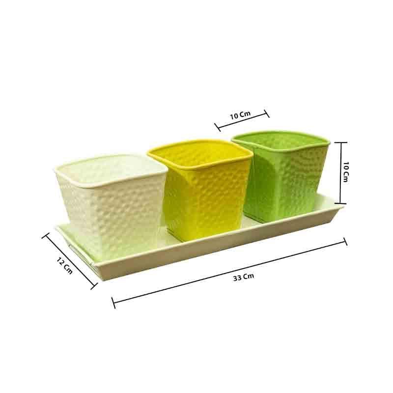 Buy Herbster Planter - Set Of Three Pots & Planters from Vaaree