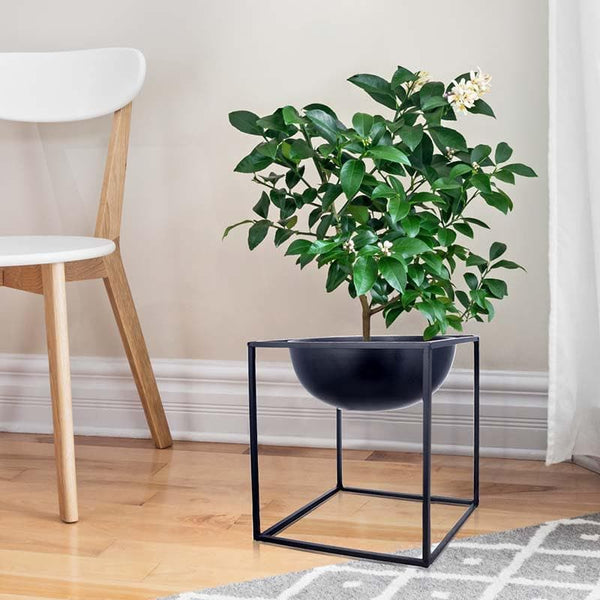 Buy Inky Black Planter Pots & Planters from Vaaree