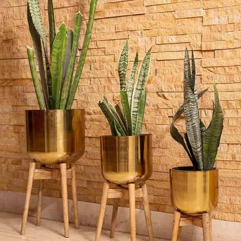 Buy Luminous Lustre Planters Pots & Planters from Vaaree