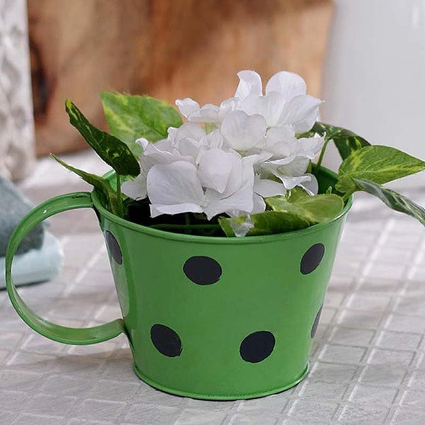 Buy Mini Mug Planter- Green Pots & Planters from Vaaree