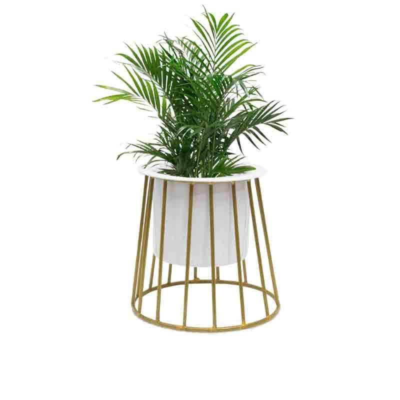 Buy Muse Table Top Planter With Stand - Set Of Two Pots & Planters from Vaaree