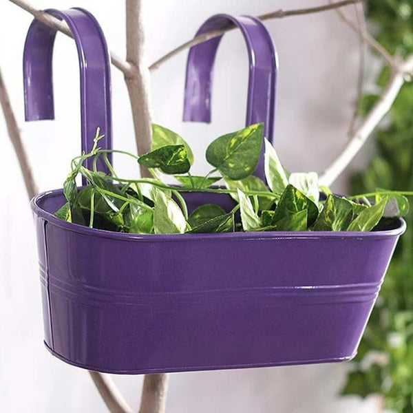 Buy Purple Jazz Planter Pots & Planters from Vaaree