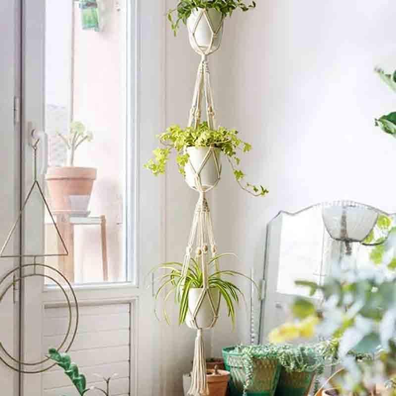 Buy Sofia Macrame Plant Hanger - Set Of Two Pots & Planters from Vaaree