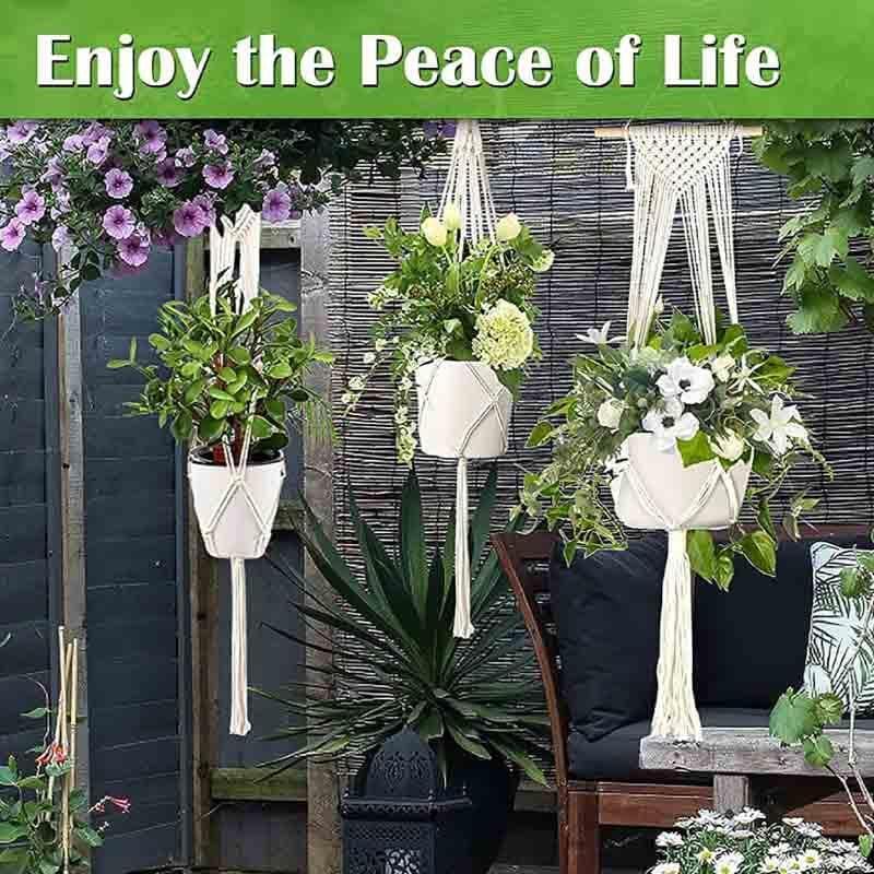 Buy Sofia Macrame Plant Hanger - Set Of Two Pots & Planters from Vaaree