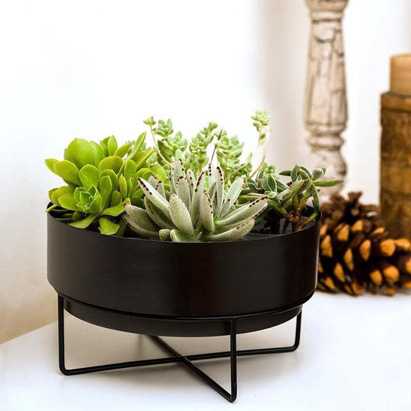 Buy Sooty Patootie Planter-Black Pots & Planters from Vaaree