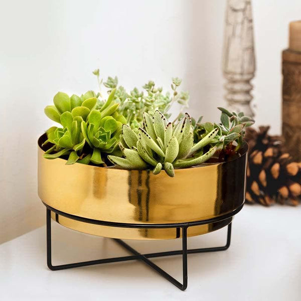 Buy Sooty Patootie Planter-Gold Pots & Planters from Vaaree