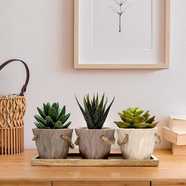 Buy Three Mini-Bucket Planter Set Pots & Planters from Vaaree