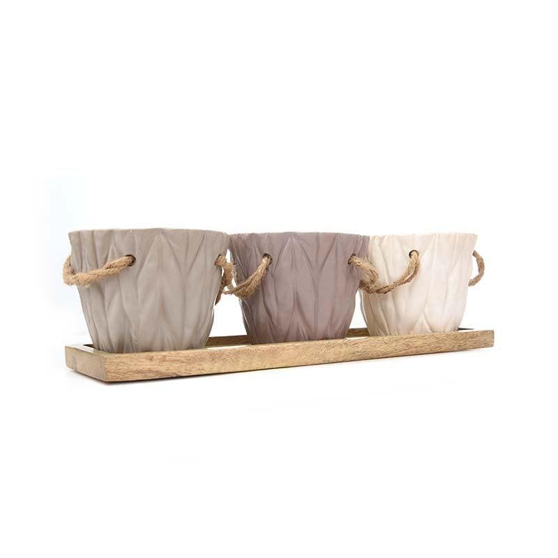 Buy Three Mini-Bucket Planter Set Pots & Planters from Vaaree