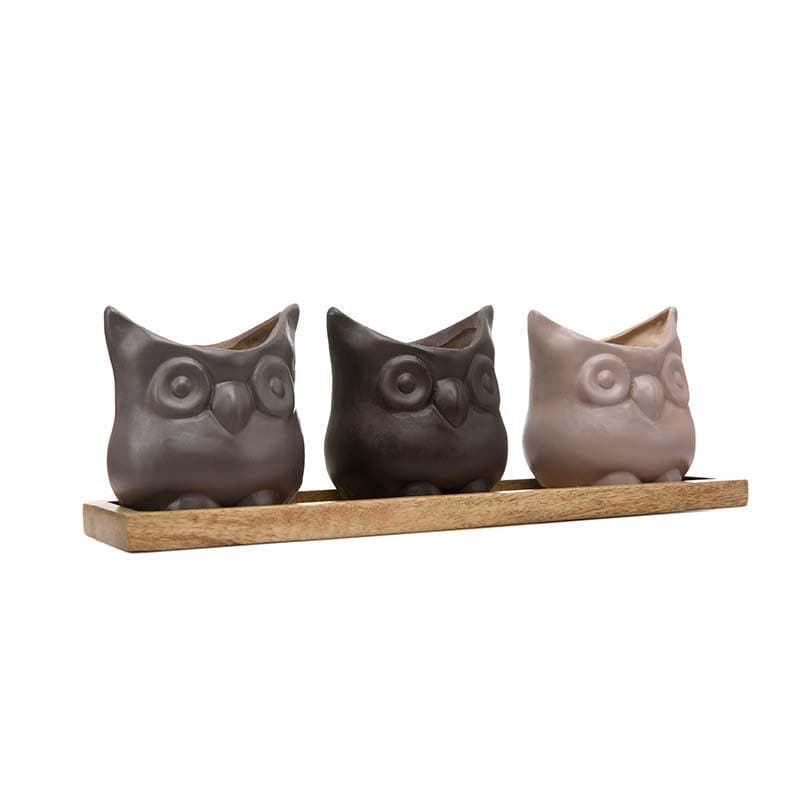 Buy Three Wise Owls Planter Set Pots & Planters from Vaaree