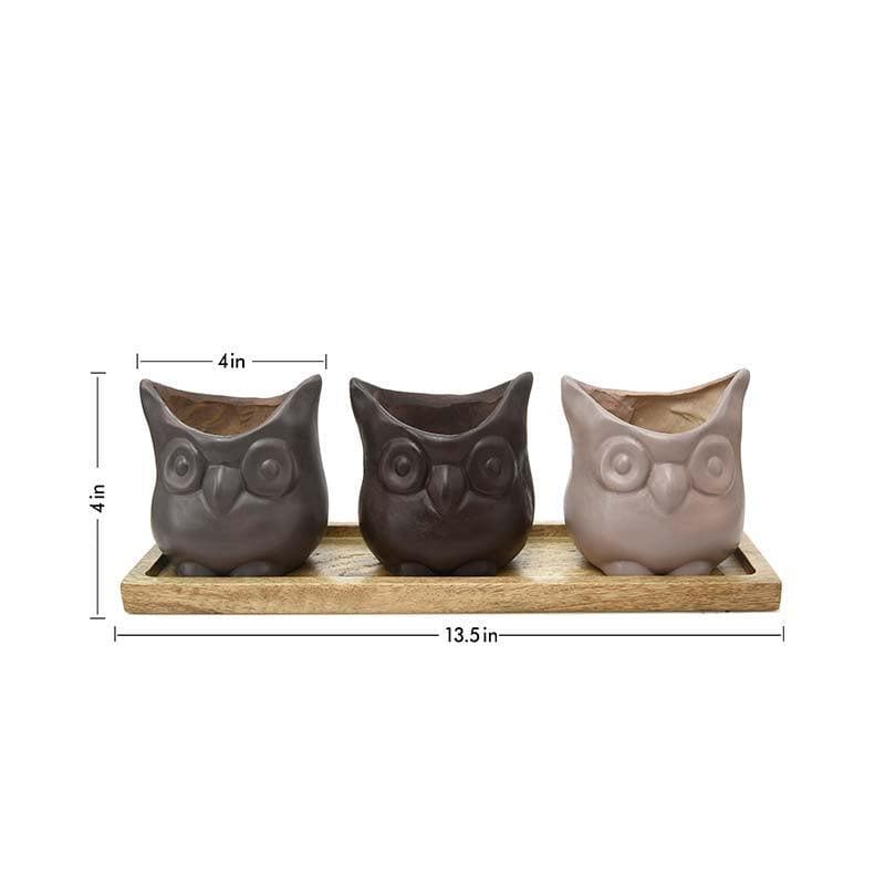 Buy Three Wise Owls Planter Set Pots & Planters from Vaaree